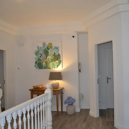 Casa Avi Affittacamere *