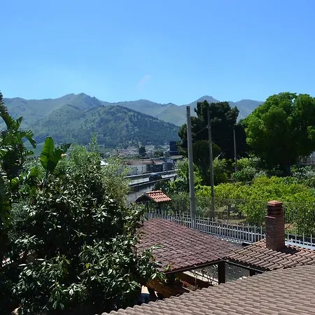 Casa Avi *